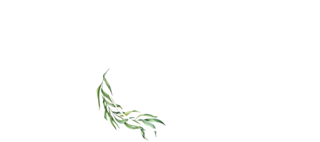 Willow Rain Boutique
